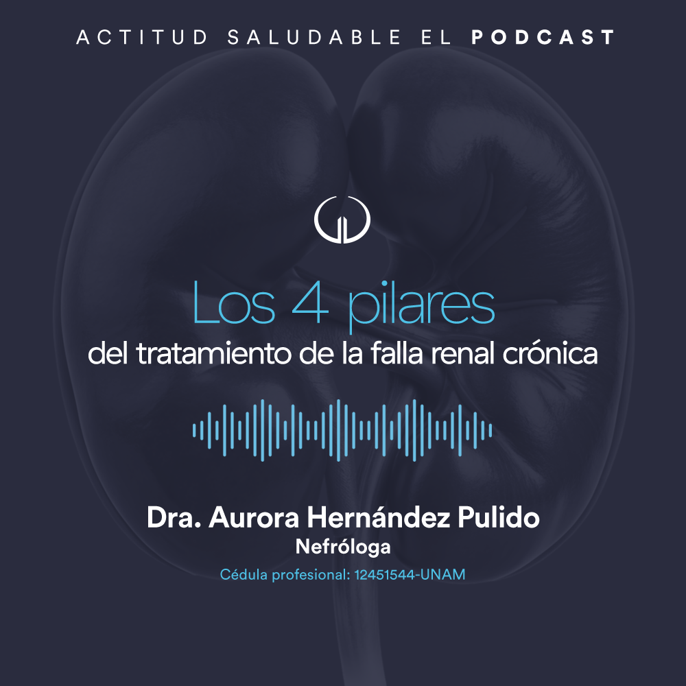 Los 4 pilares del tratamiento de la falla renal crónica | Hospital Galenia - E249