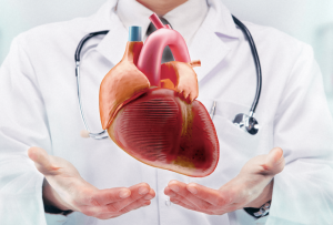 Hipertensión: ¿Cuándo acudir al cardiólogo?