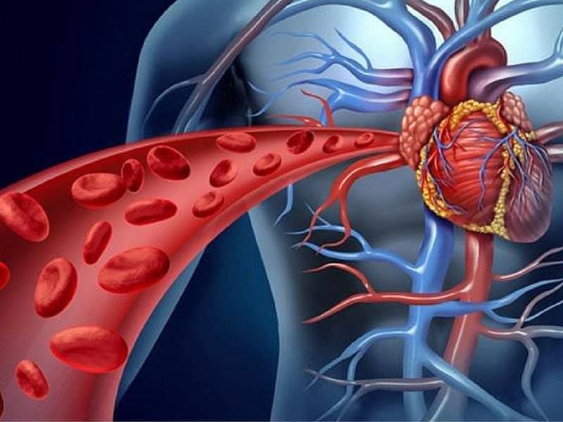 Hipertensión arterial