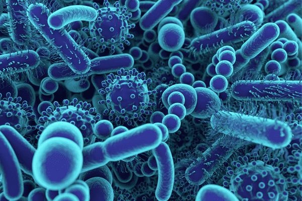 ¿Qué es la microbiota intestinal y cómo impacta en tu salud?